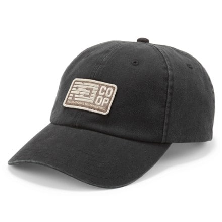 REI Co-op Everyday Graphic Cap 0