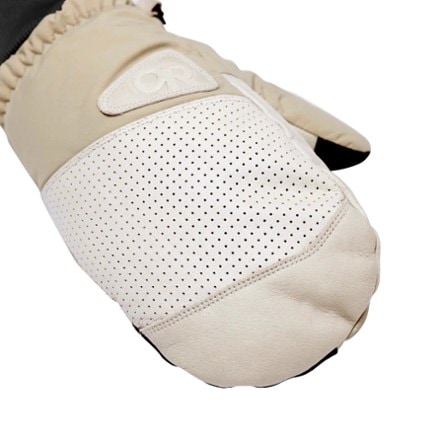 Outdoor Research Snowcrew Leather Mittens 2