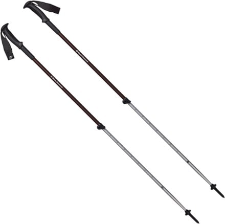 REI Flash Carbon Trekking Poles Adventure Alan, 48% OFF