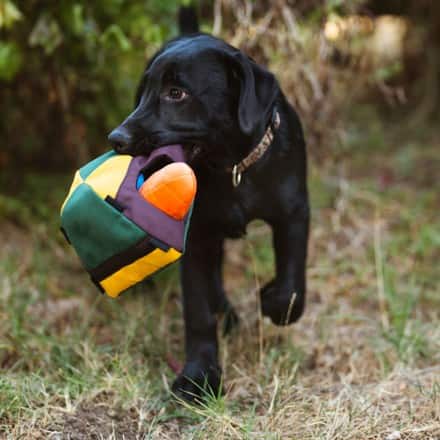 Play Pet Brands Camp Corbin Trailblazing Tent Dog Toy 5