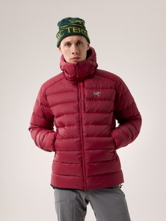 Arc'teryx Thorium Down Hoodie - Men's 1
