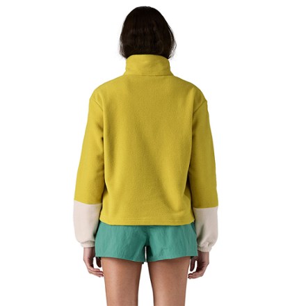 Patagonia Microdini Half-Zip Fleece Pullover - Women's 1