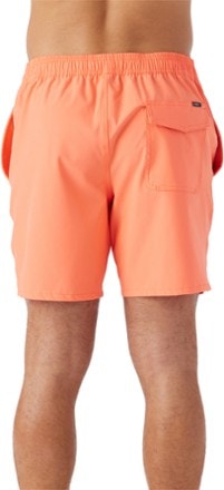 O'Neill Lennox Hermosa Solid Elastic Waist 17" Swim Trunks - Men's 1