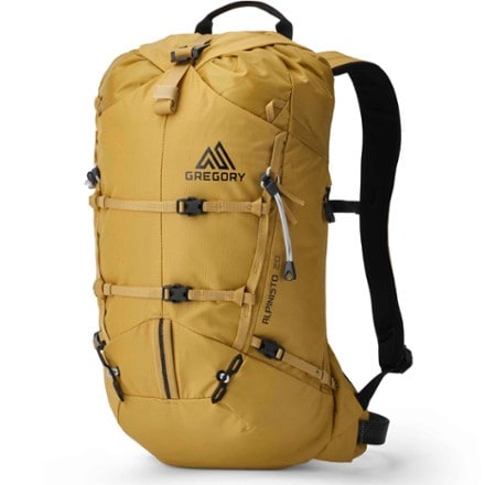 Gregory Alpinisto 20 Pack 0