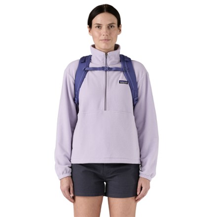 Patagonia Refugio 30L Pack 3