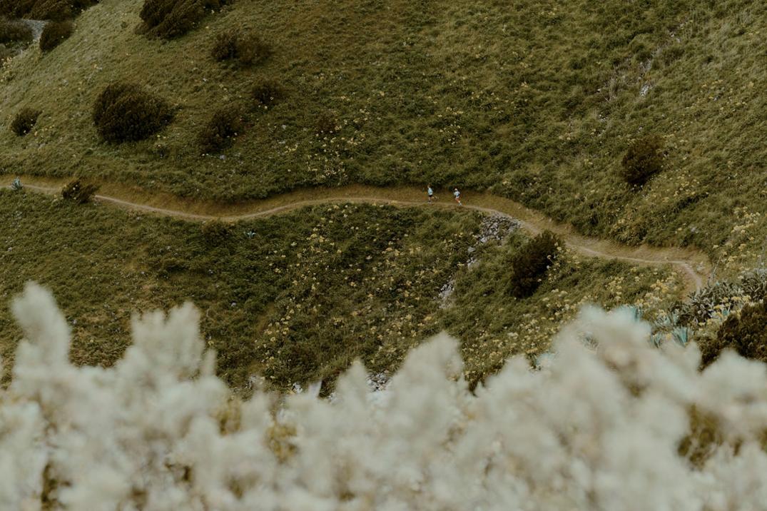 Location Image for Agility Peak 5 Trail-Running Shoes - Men's