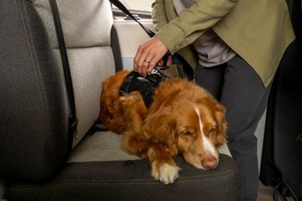 Thule Cappy Dog Harness - M 3