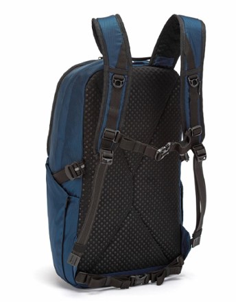 rei pacsafe backpack
