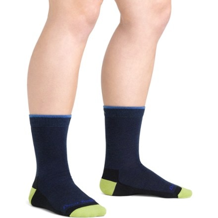 Darn Tough Field Trip Micro Crew Lightweight Hiking Socks - Kids' 2