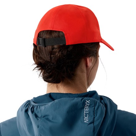 Arc'teryx Bird Word Cap | REI Co-op