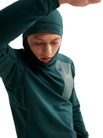 Arc'teryx Rho LT Base Layer Hoodie - Men's 4