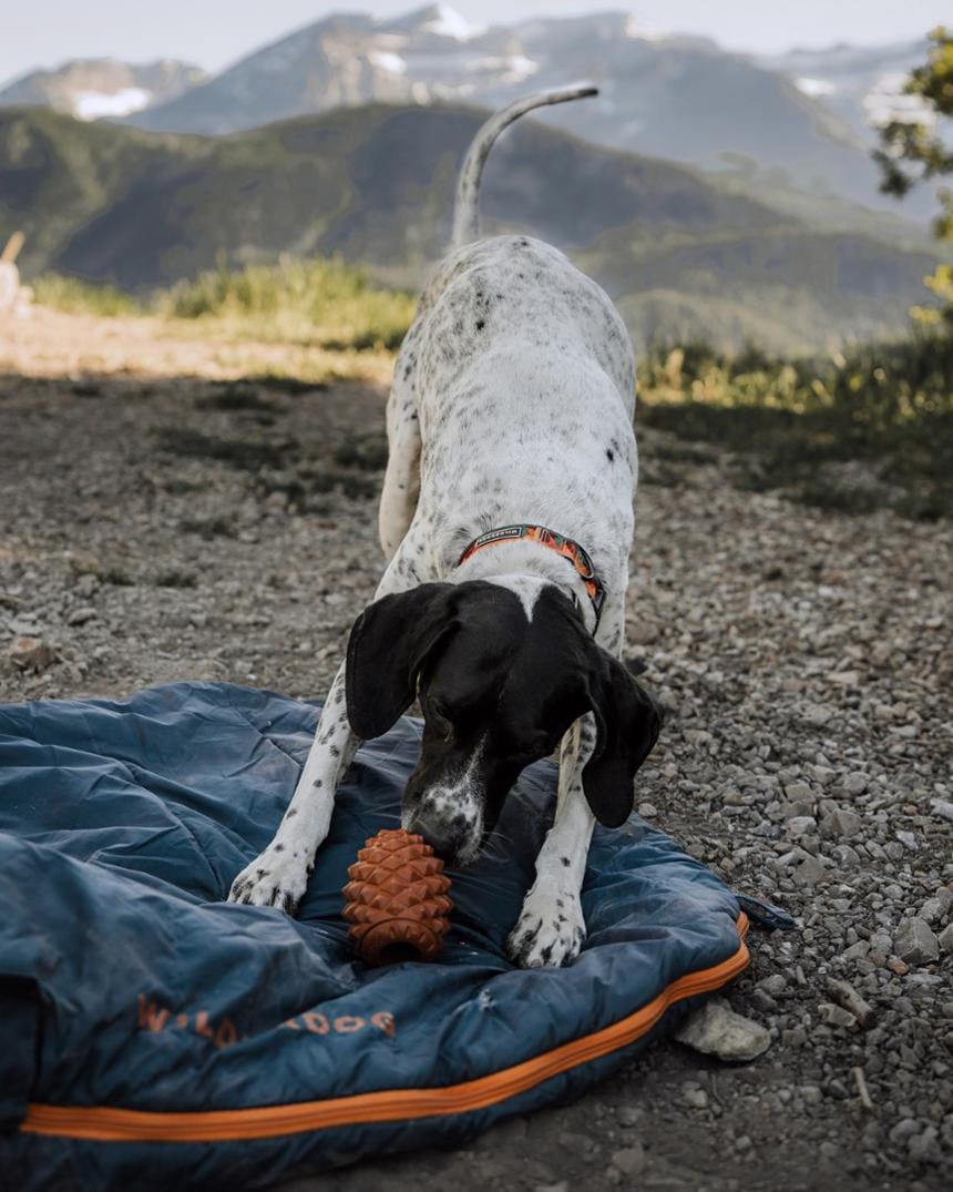 Location Image for The Conifur Enrichment Toy