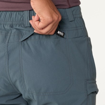 REI Co-op Sahara Convertible Pants - Women's 6