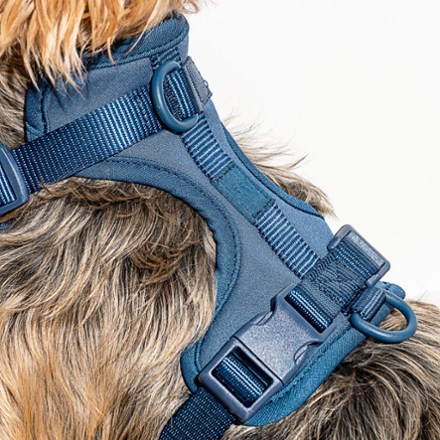 Wild One Dog Harness REI Co-op