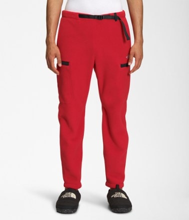 Alpine Polartec 200 Pants - Men's