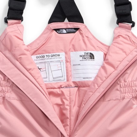 The North Face Freedom Insulated Bib Snow Pants - Toddlers' 2