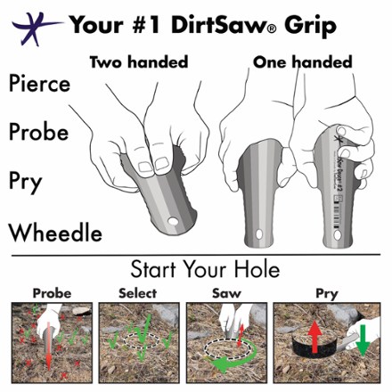 Infographic Image of color Sky