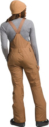 The North Face Freedom Bib Pants - Women's Short Sizes 1