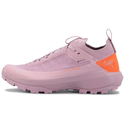 Arc'teryx Vertex Alpine GTX Approach Shoes - Women's 0