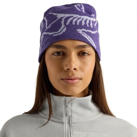 Arc'teryx Bird Head Toque Beanie 1