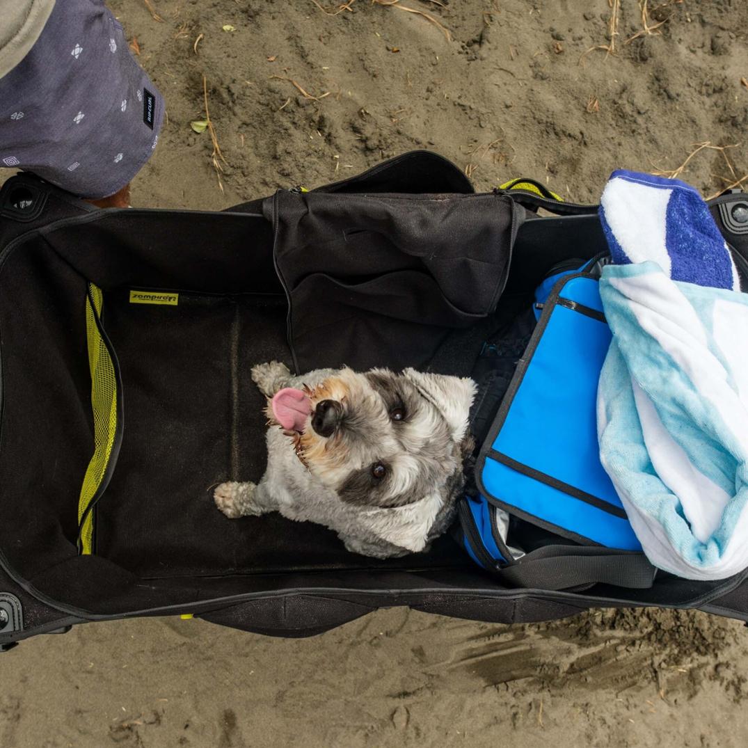 Location Image for Minimax Camp Wagon