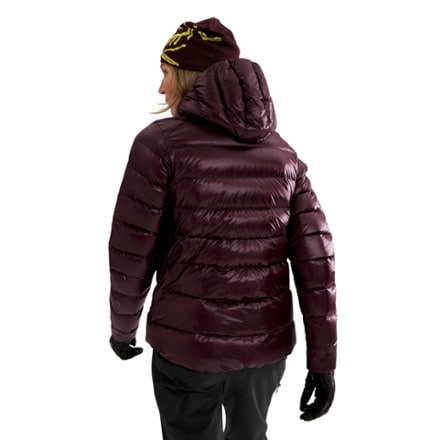 Arc'teryx Cerium SV Down Hoody - Women's 2