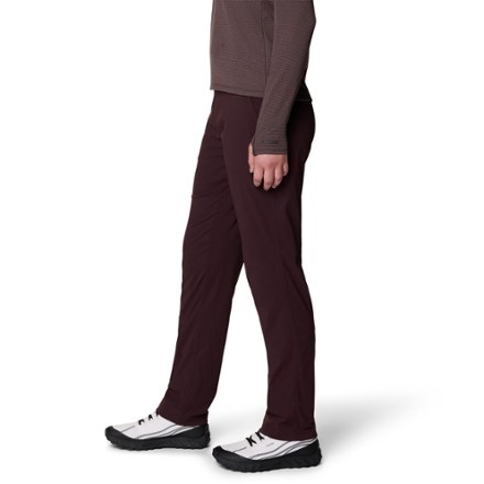 Mountain Hardwear Dynama Lined Pants - Women's 3