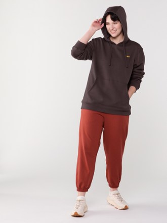 REI Co-op '90s Logo Pullover Hoodie 6