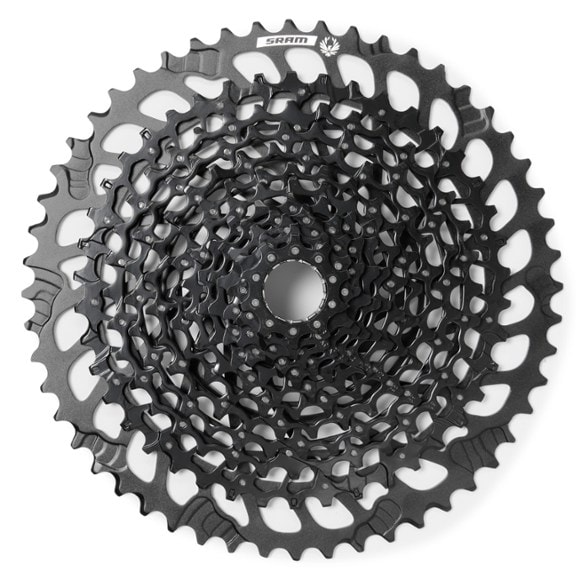 Product Image of color Black