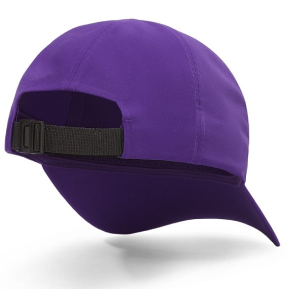 Detail Image of color Azalea/Aster