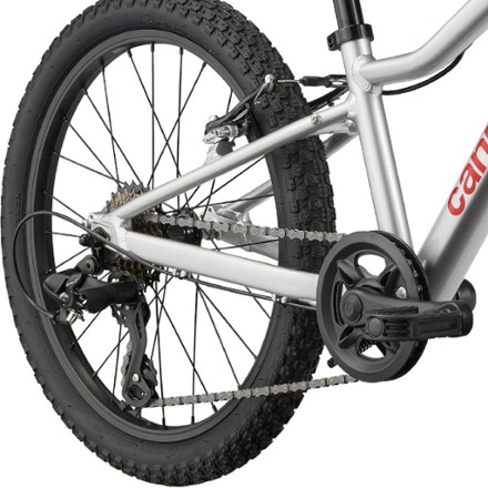 Cannondale Trail 20 Kids' Bike | REI Co-op