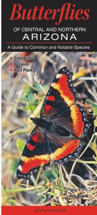 Quick Reference Publishing Butterflies of Central and Northern Arizona 0