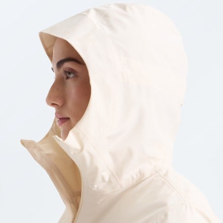 The North Face Hikesteller Parka - Women's 4