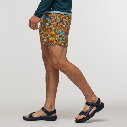 Cotopaxi Brinco Shorts - Men's 4