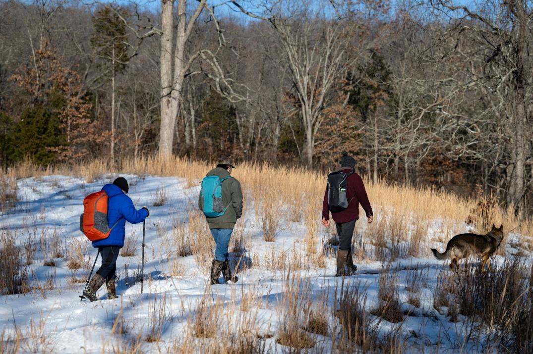 Location Image for Contour 28 Pack