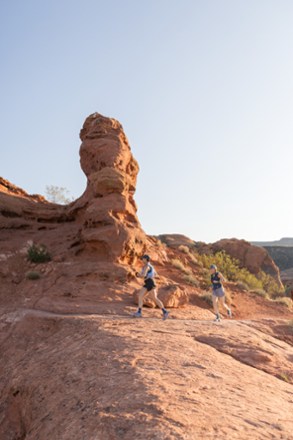 Location Image of color Purple