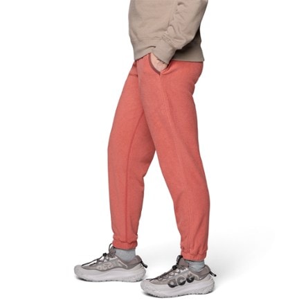 Mountain Hardwear Microchill Joggers - Women's 3