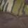 Color: Bottomland