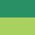 Color: Spring Green