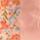 Color: Way Back/Sunlit Pink