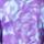 Color: Chroma Purple