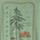 Color: Clean Climb Root/Ellwood Green
