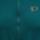 Color: Dark Sea