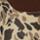 Color: Duck Camo
