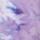 Color: Black Grape Color Max