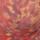 Color: Paisley Hand Multi