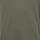 Color: Pale Olive Aspen Grove