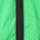 Color: Chlorophyll Green