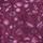 Color: Wild Flowers Wood Violet