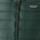 Color: Cascade Green